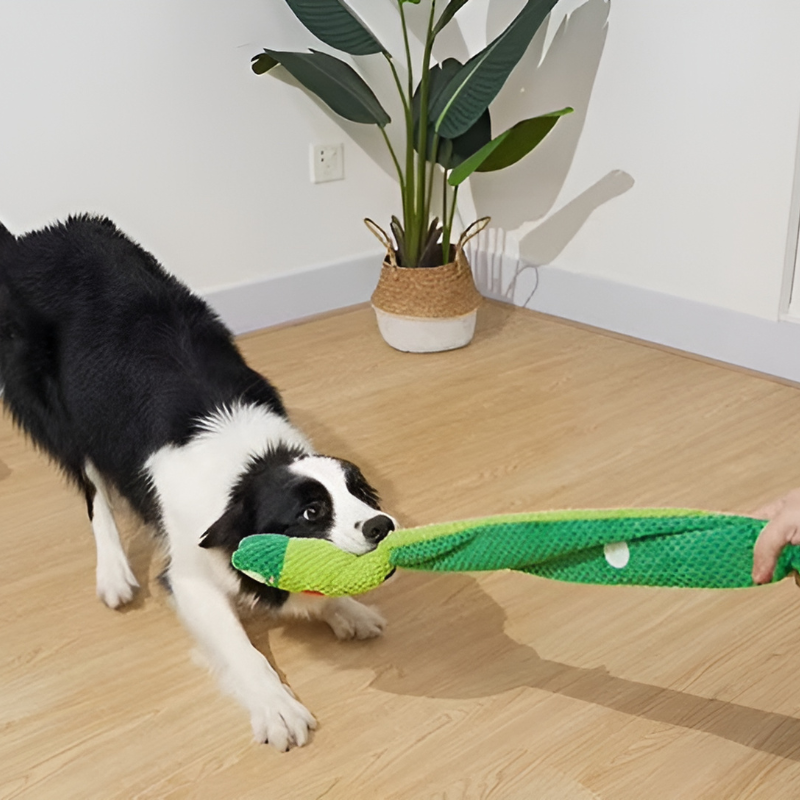 Loefpets - Interactief Hondenspeeltje Snackverstopper