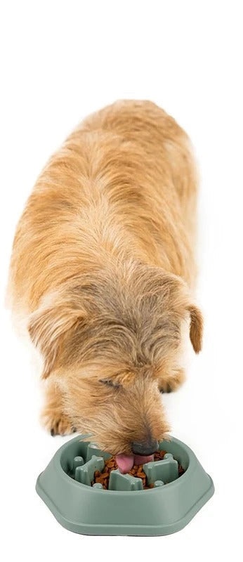 Loefpets - Slow Feeder