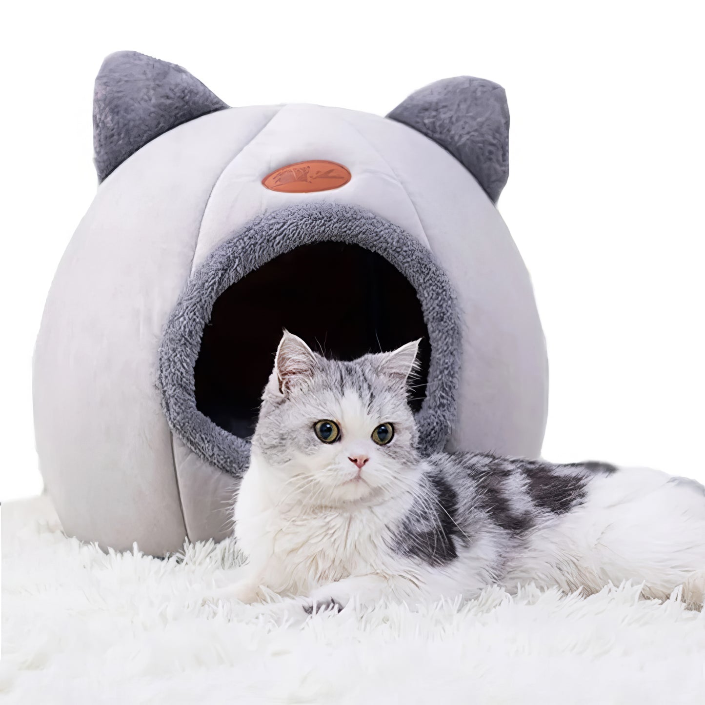 Loefpets - Iglo Bed