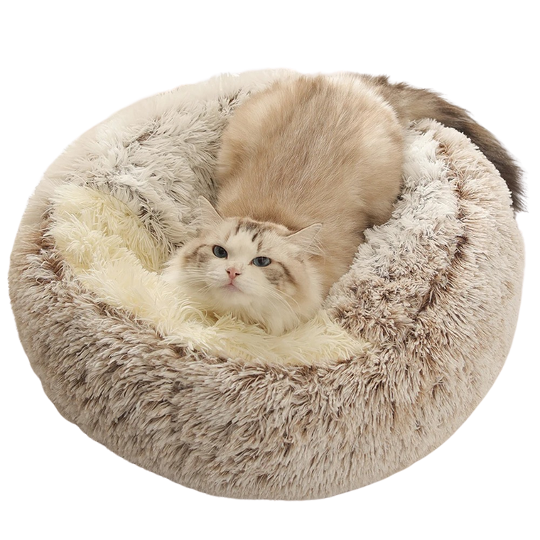 Verander Stress In Comfort Voor Huisdieren