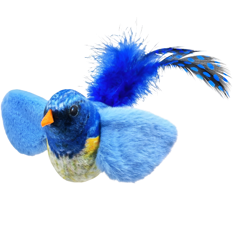 Transformeer De Dagelijkse Routine Van Jouw Kat!