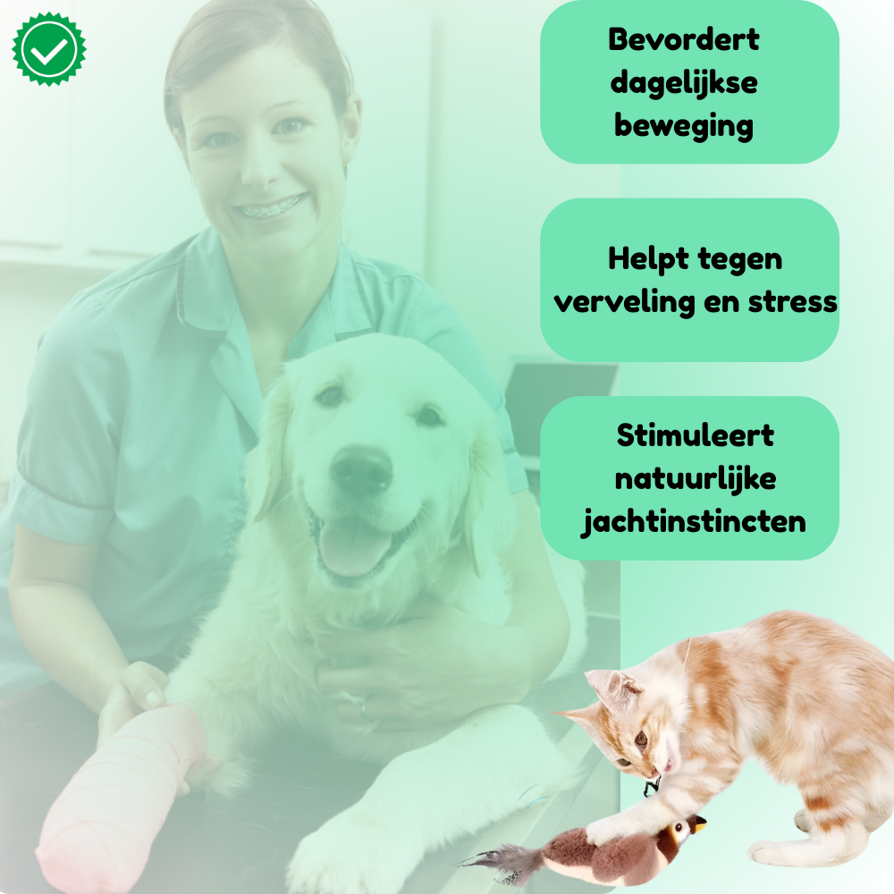 Loefpets ChirpBird – Het speeltje dat katten direct laat jagen en spelen!