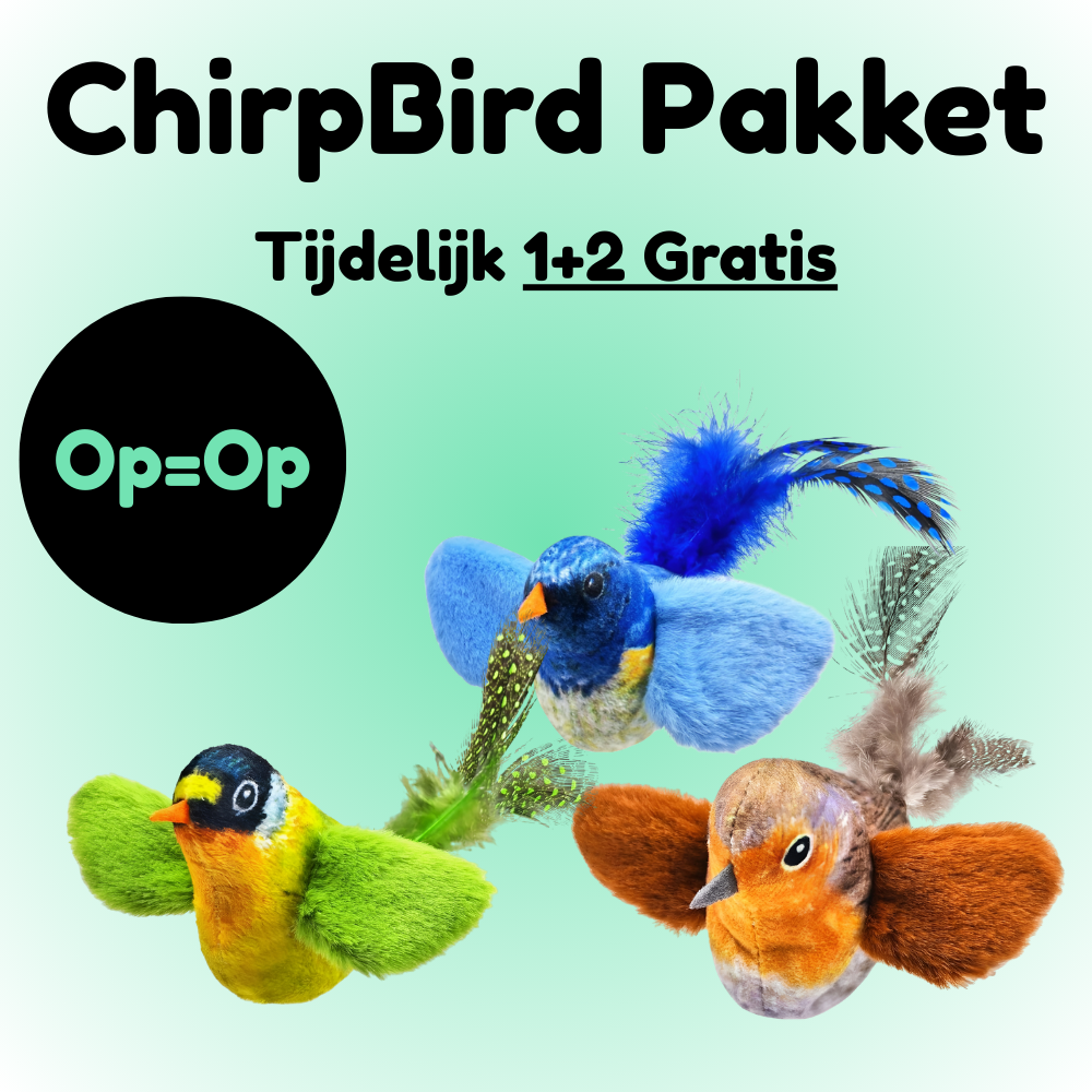 Loefpets ChirpBird – Het speeltje dat katten direct laat jagen en spelen!