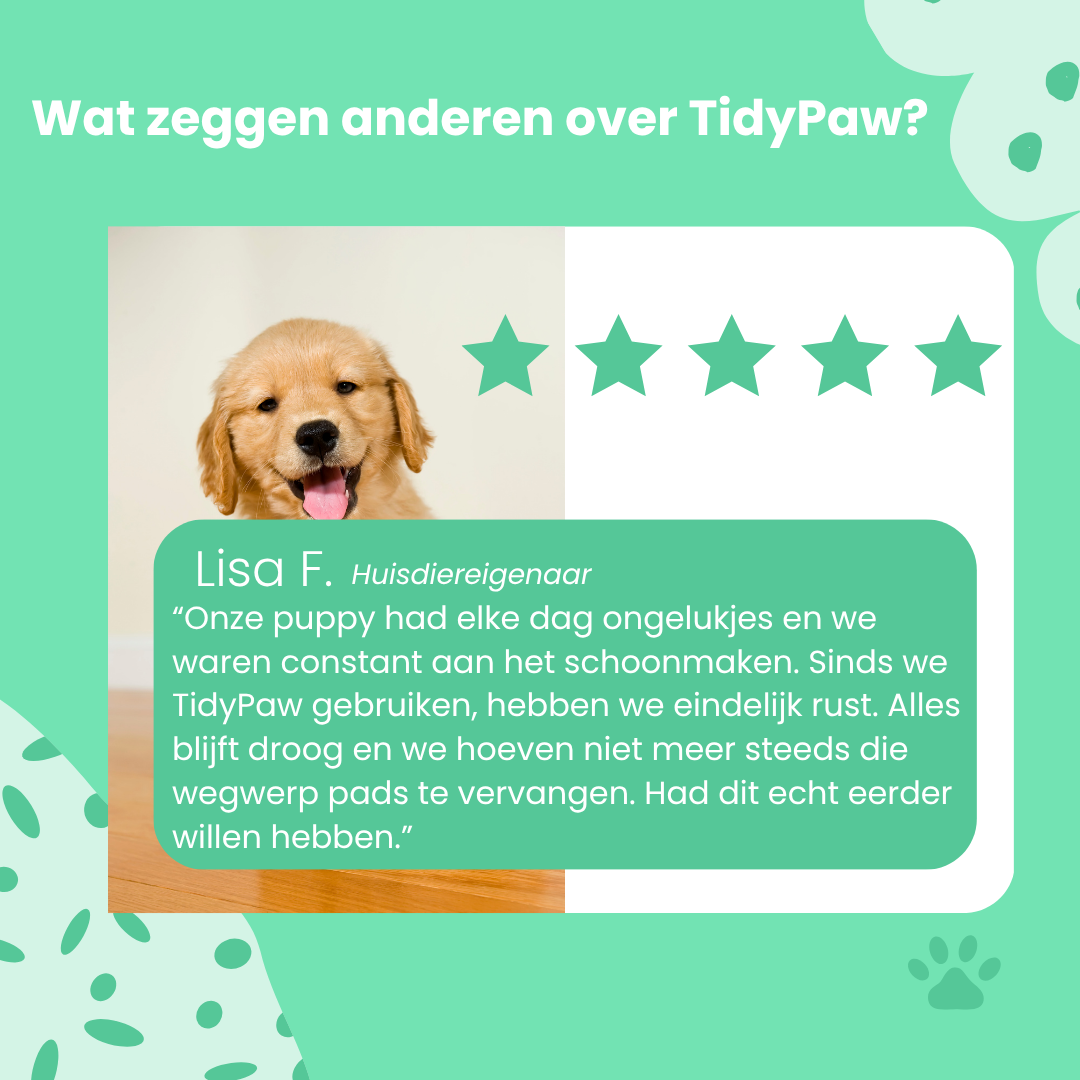 TidyPaw - Wasbare Plasmat