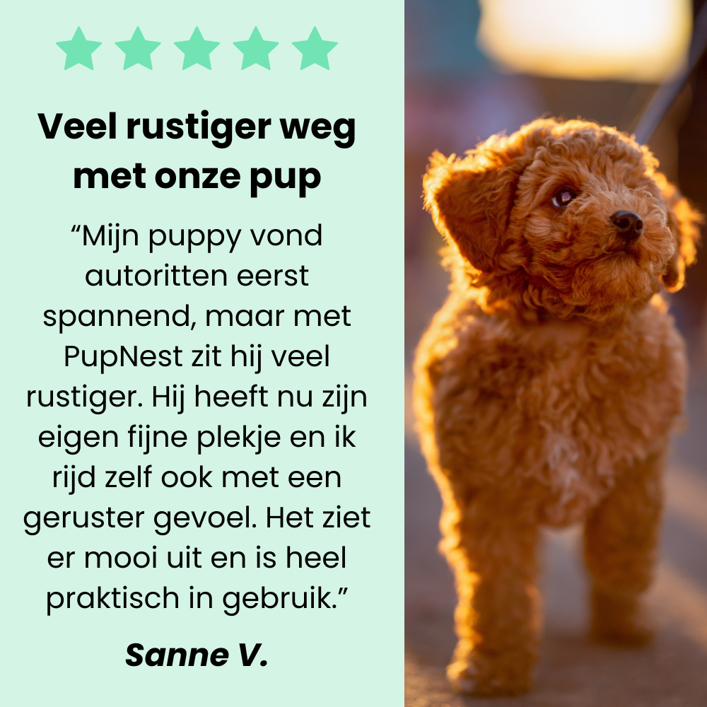 PupNest - Premium