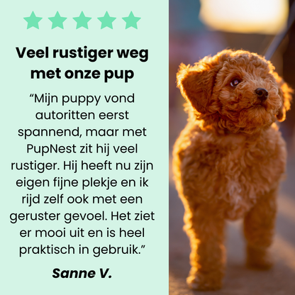 PupNest - Premium