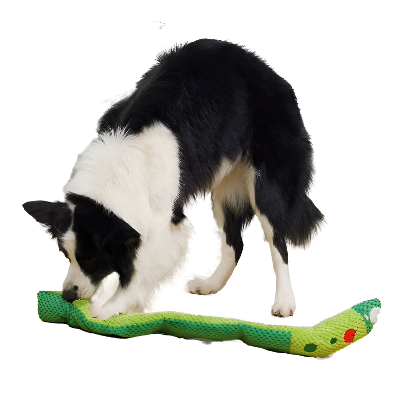 Loefpets - Interactief Hondenspeeltje Snackverstopper