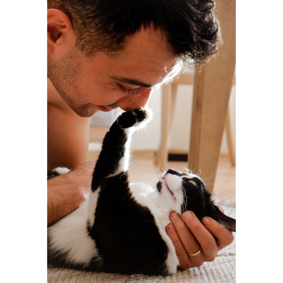 Waarom EaseWarm Dierenkussen voor Comfort Thuis Uitblinkt