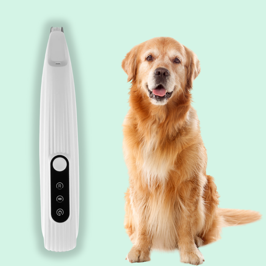 Wat baasjes zelf ervaren na gebruik (Gebaseerd op klantervaringen)