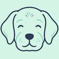 Oudere honden