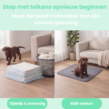 TidyPaw - Wasbare Plasmat