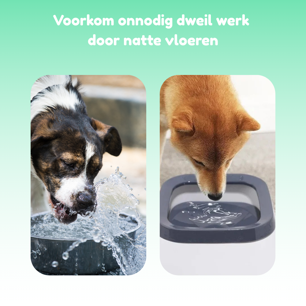 SplashGuard- Anti-Mors Drinkbak Tegen Natte Vloeren