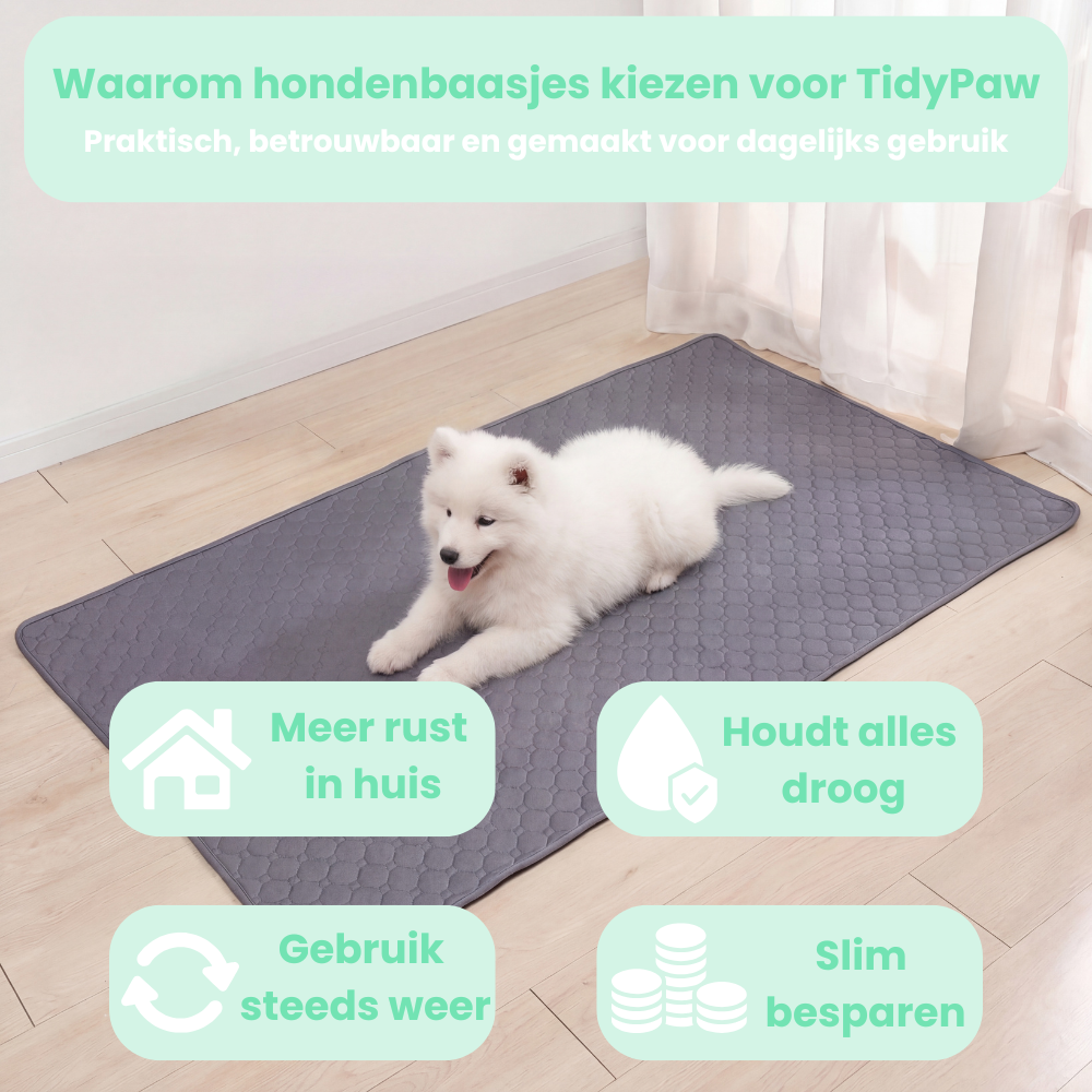 TidyPaw - Wasbare Plasmat