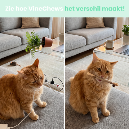 VineChews Sticks