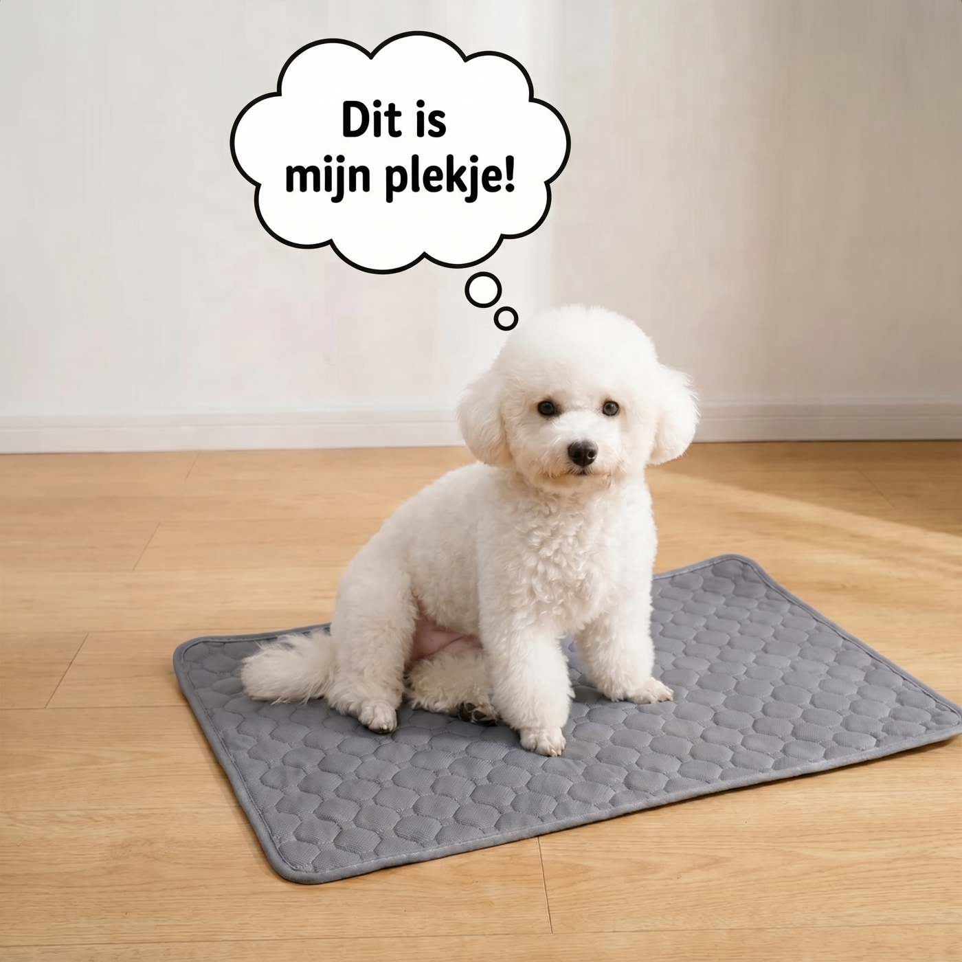 Waarom TidyPaw wél werkt